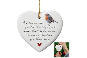 JINJIAR Gift Memorial Ornament, Robin Sympathy Gift, Bereavement for Loss, Christmas Decorations
