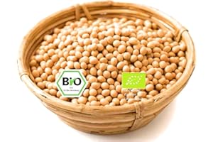 HELDENPILZ Semillas de soja orgánicas peladas ideales para hacer tempeh