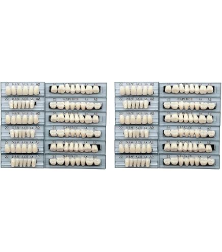 Dents En Résine Pour Prothèse - Lot De 12 - Couleur A3 - Pour Apprentissage Ou Halloween