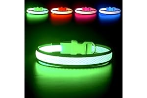 YFbrite Świecąca obroża dla psa, ładowalna obroża dla psa LED, migająca obroża dla psa, regulowana, odblaskowa obroża dla psa, bezpieczna świecąca w nocy (zielona, mała)