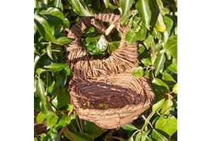 WILDLIFE WORLD Simon King Blackbird Nester