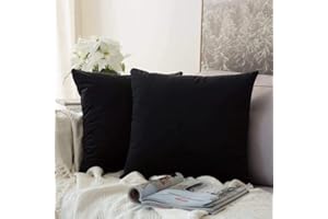 MIULEE Lot de 2 Housse de Coussin en Velours Décoratif Canapé Taie d'oreiller Super Doux Decoration Maison Salon Chambre pour Canapé 45X45CM Noir