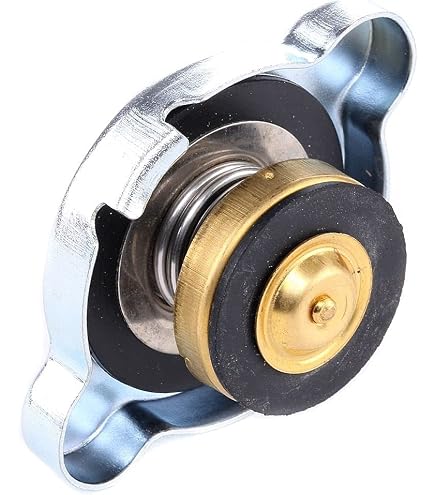 Kühlerabdeckung 590054 Passend Für Fiat, Ford, New Holland, Landini, Massey Ferguson