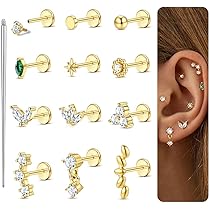 FIOROYAL 27 Stück 16G Helix Piercings Ohrstecker Edelstahl für Frauen FIOROYAL 27 Stück 16G Helix Piercings Ohrstecker Edelstahl für Frauen