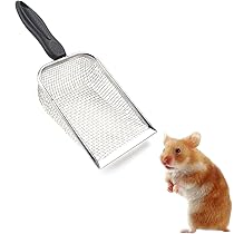 Hamster Doolhof Voor Creatieve Spelletjes