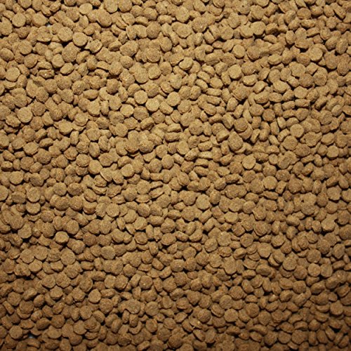 Saito Professional 2kg Futter Koi 3,0mm - 3