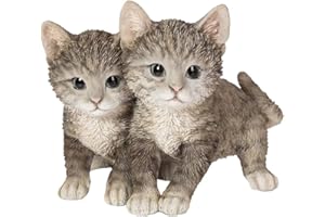 Vivid Arts - Giocoso Gattini Tabby Casa o Giardino Decorazione, RL-PF43-D, H: 17cm