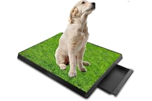 RATSTONE Toilette pour Chien,Tapis d'apprentissage De La Propreté avec Séparateur d'Urine,Tapis de Paille pour Chien avec Grand Plateau (64 x 51 cm),avec Plateau Extractible,Idéal pour Le Dressage des Chiens