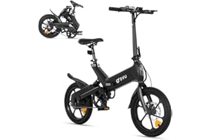 DYU A16 Velo Elettrico,16 Pollici Bicicletta Elettrica Lega Di Magnesio, Batteria Rimovibile 36 V 10 Ah, Pieghevole Ebike Autonomia fino a 40-70 km, Display LCD,Sistema Ammortizzazione, per Uomo