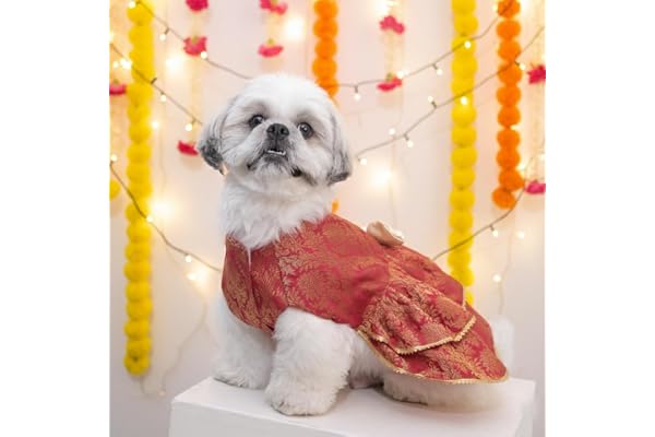 Furryfits Ethnic Dog Lehenga Dress, Traditional Indian Festive Outfit for Small Dogs, Lightweight Pet Wear for Weddings, Diwali, Navratri, Special Occasions (14 inch)