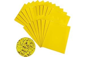 TNSOYCA 20 pièces pièges à Insecte, pièges adhésifs Double Face Jaunes, moucherons fongiques, moustiques, aleurodes, Autocollants à Mouches, Convient pour Les Plantes et Les Fleurs de Jardin(15x20cm)