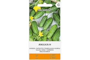 ŽALIA STOTELĖ Zalia stotele | PICKLE - ANULKA H Semillas | Semillas de Hortalizas | semillas de pepinillo | semillas de plantas | semillas de jardín | 1 paquete