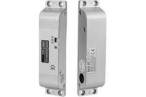 WITPOCE LIBO Verrou de porte électrique DC 12 V Mode NC pour système de sécurité de contrôle d'accès avec délai