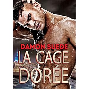 La cage dorée (French Edition)