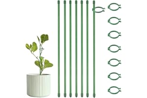 CAREDGO Soporte para Orquídeas, 18 Varillas de Soporte para Plantas de 30 cm y 36 Clips de Soporte para Orquídeas Palo de Guía para Orquídeas de Plástico Verde para Plantas Interiores Exteriores