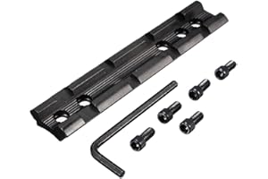 ACEXIER Guida Picatinny/Dovetail da 10 cm Guida a basso profilo Montaggio guida Weaver Picatinny da 20 mm