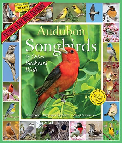Audubon Songbirds Picture-A-Day Calendar 2018