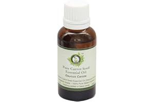 R V Essential Pura semilla de zanahoria esencial 30ml de aceite (1.01 oz)- Daucus carota (100% puro y natural de Grado Terapéutico) Pure Carrot Seed Essential Oil