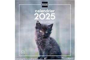 Finocam - Calendario Imágenes de pared 30 x 30 para escribir 2025 1 mes por página Enero 2025 - Diciembre 2025 (12 meses) Gatitos franceses