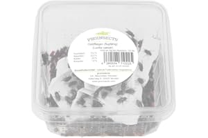 proinsects Goldfliegen (flugfähig) 100 STK.