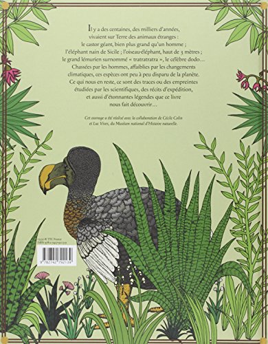 Télécharger Petites et grandes histoires des animaux disparus PDF
Fichier Damien Laverdunt