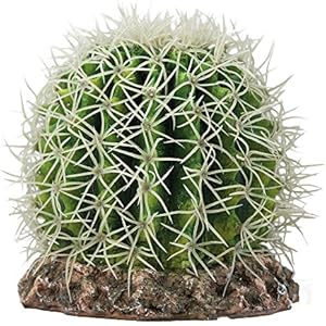 Hobby 37006 Kaktus Sonora, M