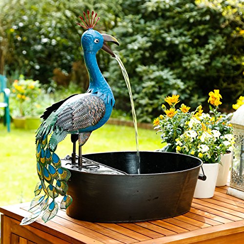 Brunnenspiel Pfau Hansi