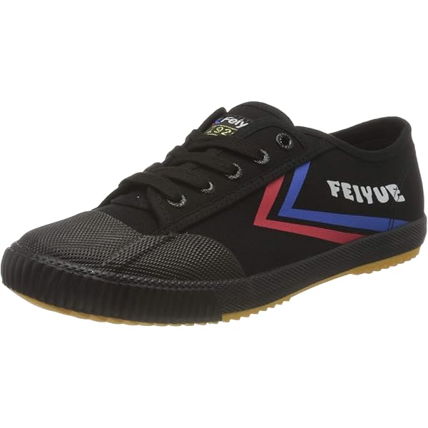FEIYUE Fe Lo 1920, Chaussures d'arts Martiaux pour Homme Mixte, Ivoire Bleu et Rouge, 44.5 EU