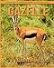 Produktbild Gazelle: Children's Book of Amazing Photos and Fun Facts about Gazelle