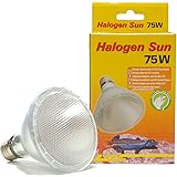 Lucky Reptile HS-75 Halogen Sun, 75 W, Wärmestrahler für E27 Fassung