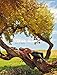 Earthly Beauty (Bruno Gmunder Verlag) by 