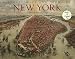 Historic Maps And Views Of New York RS.985.00