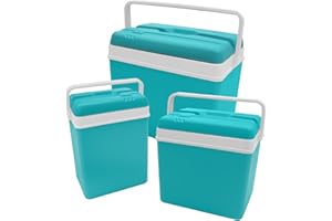 DANIEL JAMES HOUSEWARES Daniel James Large Cool Box - 15L, 24L or 35L Insulated Cooler Box with Carry Handle & Lid for Ice Cold Food & Drink - Lightweight & Durable for Camping, Picnic & Travel