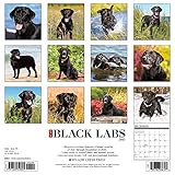 Image de Just Black Labs 2017 Calendar