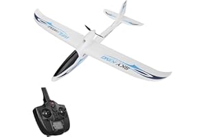 GoolRC Wltoys F959 SKY-King 2,4 G 3CH Radio Contrôle RC Avion Avion RTF Motif bleu