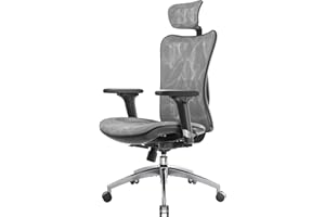 SIHOO M57 Ergonomic Office Chair Mesh Desk Chair with Adjustable Lumbar Support 3D Armrests Breathable High Back Computer Chair (Grey)