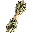 Samvardhan 10m Leaf Rope Natural Hessian Jute Twine Rope Burlap Ribbon DIY Craft Vintage for Home Wedding Party Decor (Green)