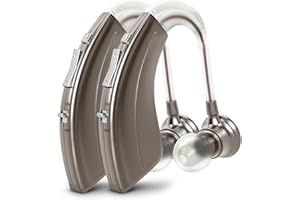 Britzgo Device, 500-hour Ultra-long Battery Life, Advanced Noise Cancellation, Delivers Exceptional Sound Quality, Ensures Crystal-clear Daily Conversations. (2, Silver)