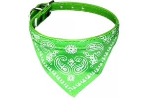 WOO LANDO Collare per gatti con bandana effetto cachemire e fibbia in taglia S: circonferenza del collo 20-26 cm (verde)