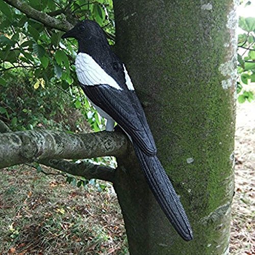 MagiDeal Elstern Köder Jagd Köder Schießen Trap Schädlingsbekämpfung Garten Scarer Vogelscheuche - 3