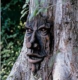 Design Toscano the Spirit of Nottingham Woods, Greenman Tree Sculpture (Garden &amp; Outdoors)
