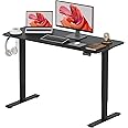 SANODESK 120 * 60 Electric Standing Desk Height Adjustable Standing Desk Sit Stand Desk Adjustable Desk Stand Up Desk for Home Office