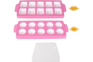 ZBHDEYG 2 moldes para albóndigas, 1 espátula blanca, forma de ravioli rosa, 10 rejillas, forma cuadrada redonda, forma de ravioli, herramientas de cocina DIY