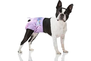 Flying Paws Pannolini usa e getta per cani femminili, pannolini per cuccioli con elastico regolabile in vita per cane o gatto femmina in calore, incontinenza