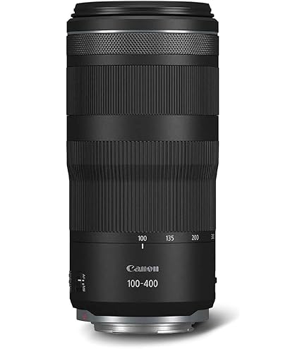 Canon EF 70-300mm f/4.0-5.6 IS USM : Canon: Amazon.fr: High-Tech