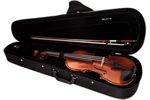 GEWApure Violin Set EW Ebano 4/4 Montado con Barbada, Cordal con microafinador, Arco, Resina, Estuche con Bandolera