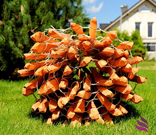 Imprägnierter Staketenzaun, Holzzaun mit sicheren Spitzen als Gartenzaun, Weidezaun, Teichschutzzaun. Holzart: Haselnußholz (Corylus avellana L) – Länge: 5m, Lattenabstand:(3-4 cm), Höhe:120 cm - 6