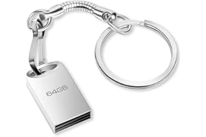 FINEWISH Memoria USB 64GB, Mini Pen Drive USB 2.0 64GB Impermeable Memory Stick Flash Drive con Llavero para PC, Laptop, Almacenamiento de Datos Externo (Plata)