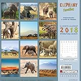 Elephant Families 2018: Kalender 2018 (Wonderful World) by 