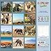 Elephant Families 2018: Kalender 2018 (Wonderful World) by 